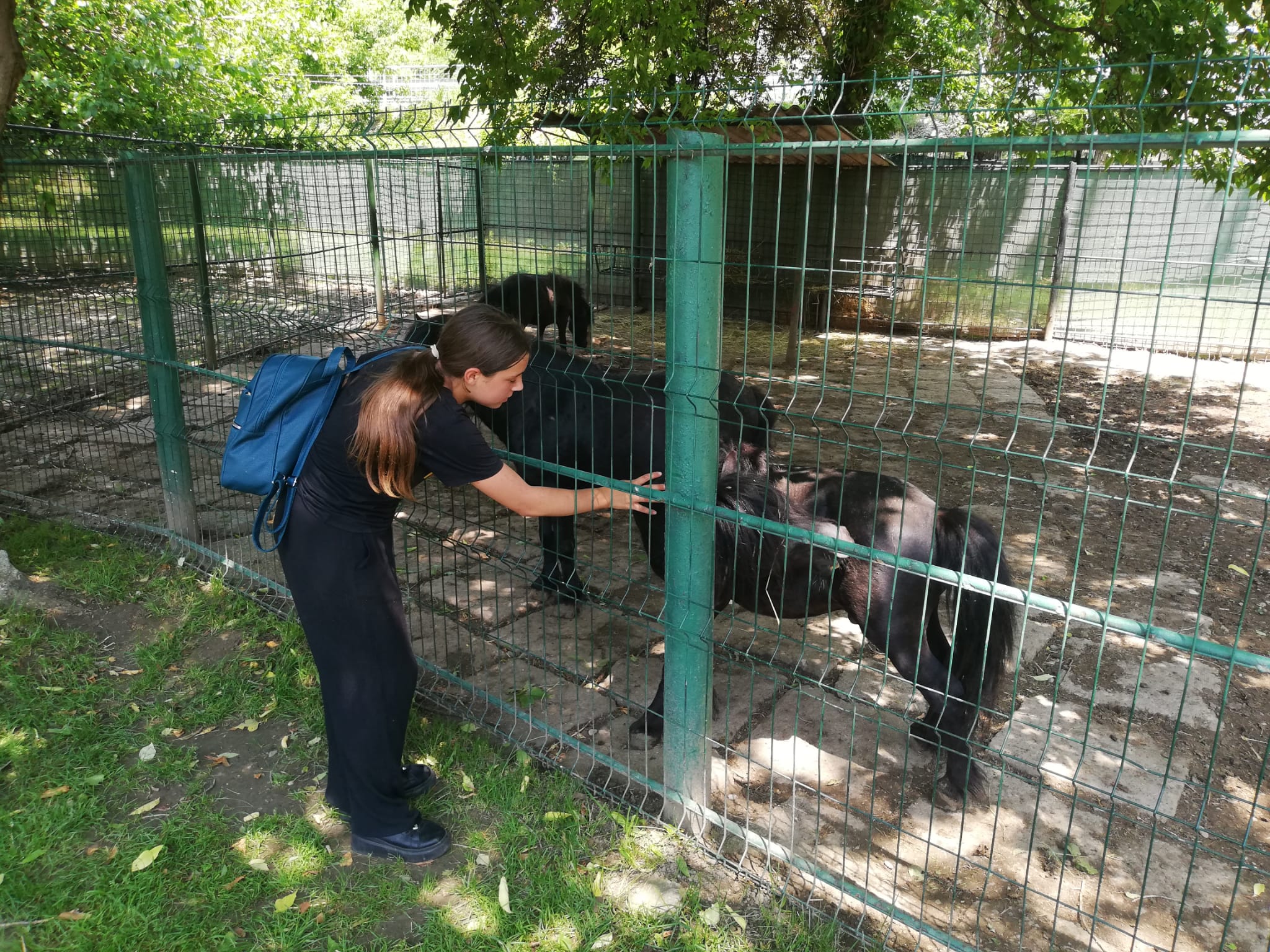  Excursie Târgoviște