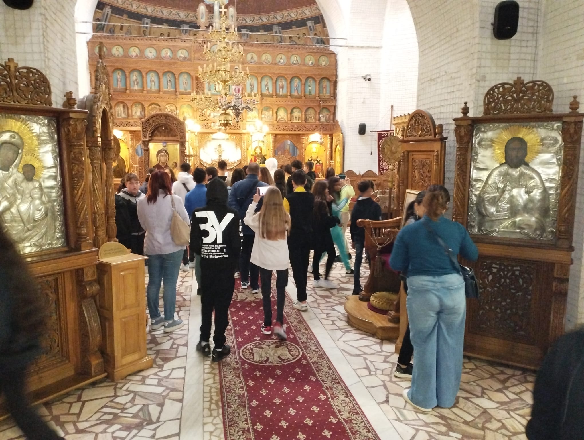  Excursie Comana